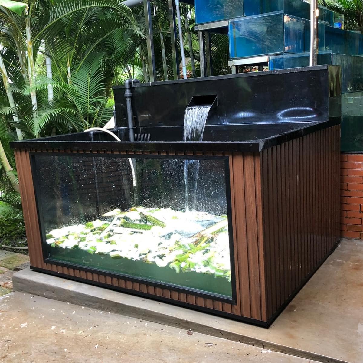 Ứng Dụng Tấm Ván Nhựa PVC Pima Trong Hồ Cá: Giải Pháp Bền Đẹp Và Chống Nước