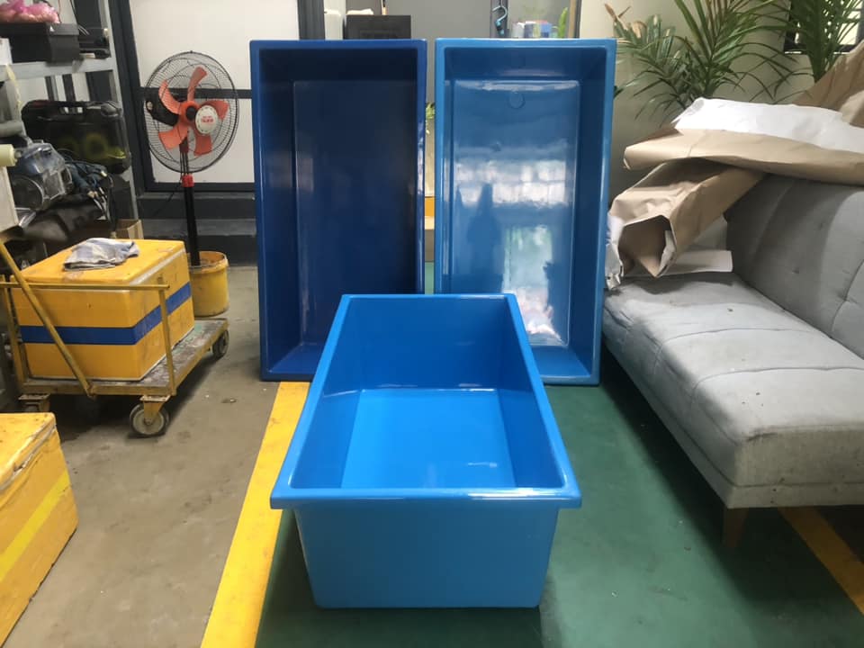 BẾ CÁ MINI - TANK CÁ KOI
